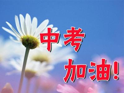 枣庄九年级家教哪里找？